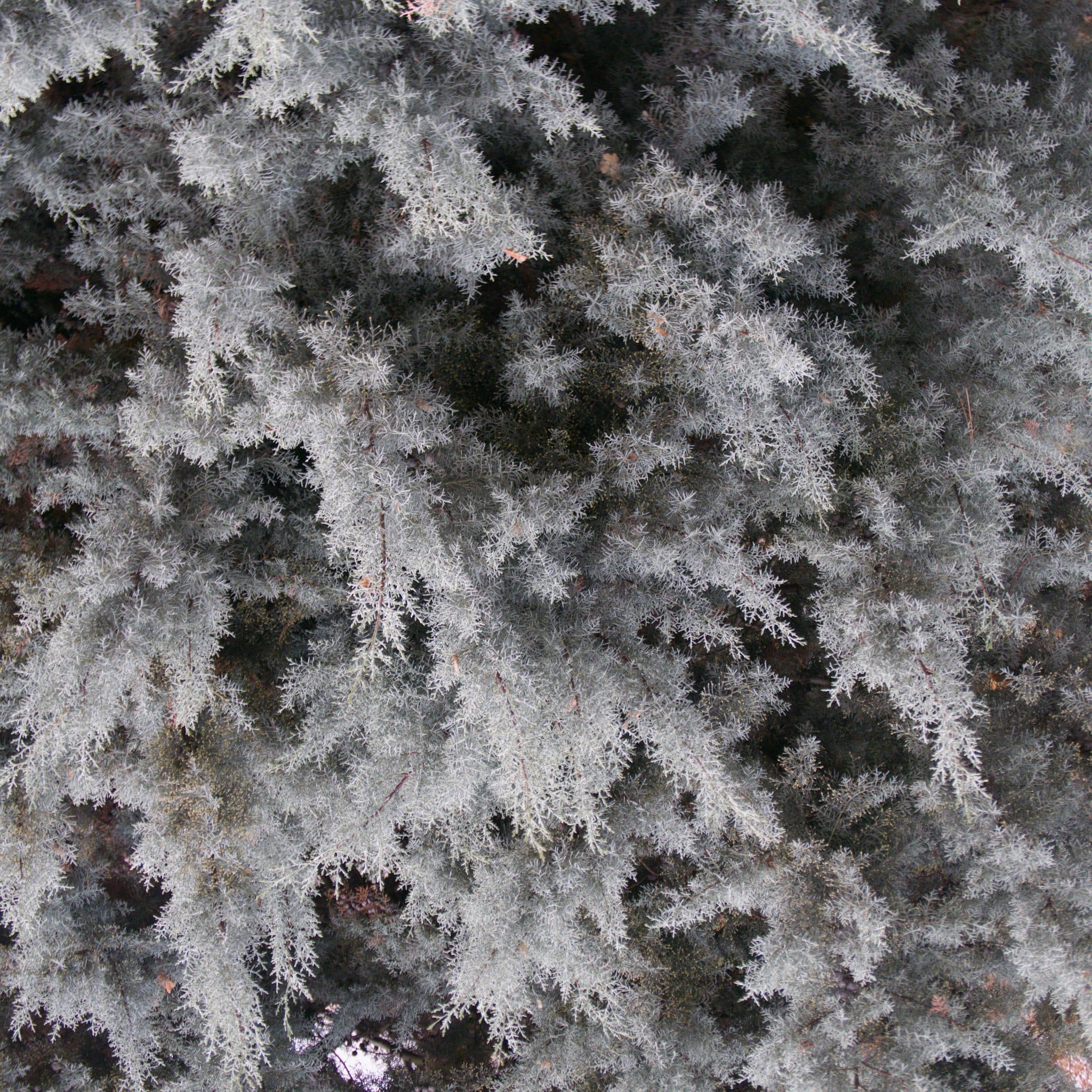 NO-80
